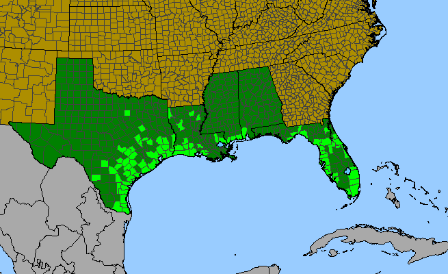 The range of Neptunia pubescens